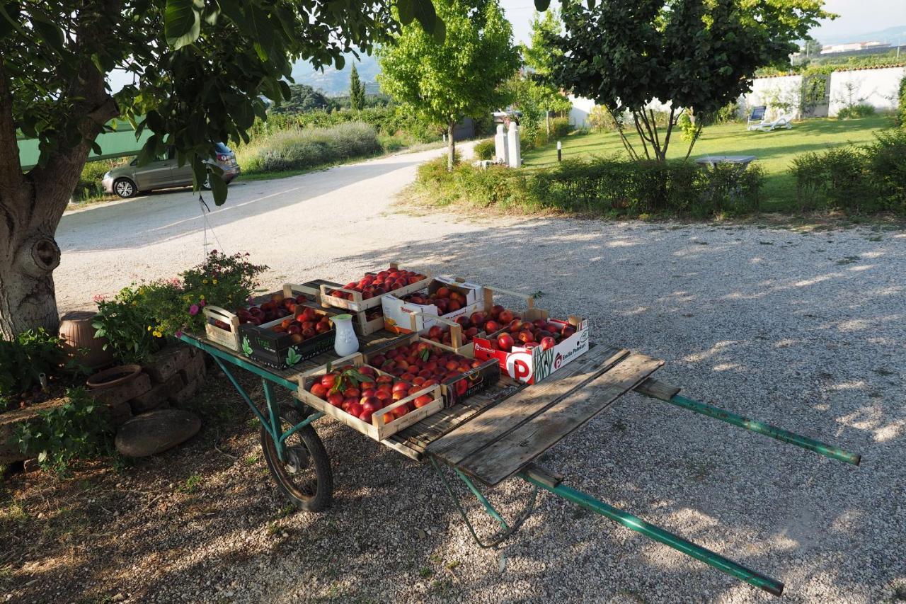 Fior Di Maggio Alloggio per agriturismo
